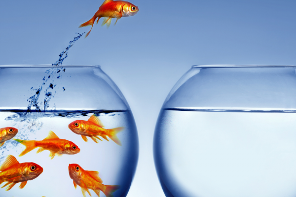 10 Tips to Reinvent Yourself Professionally